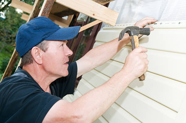 Best Brick Veneer Siding  in Tiptonville, TN
